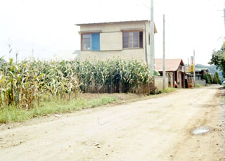 １９６８年８月本社前